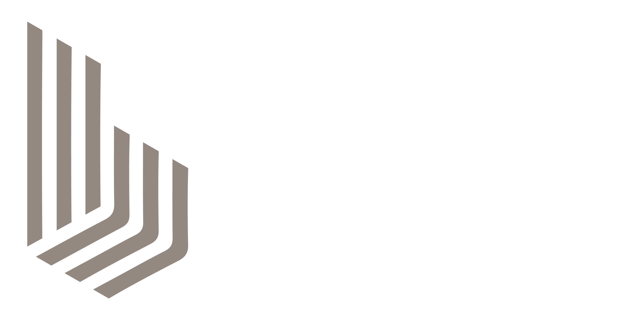 B3P_Logo Horizontal Negativo_sem fundo